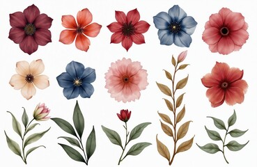 Obraz premium Watercolor clipart various flowers leaves different sizes on white. Burgundy red navy blue beige cream green colors. Floral design elements. Perfect for invitations cards posters eco-friendly decor