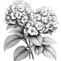 Gallery-Magic Flowers: Relaxing Coloring Pages for Adults and Teens" in Vintage Style