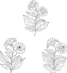 Vintage floral vector pattern with hand drawn flowers and leaves for seamless nature-inspired design