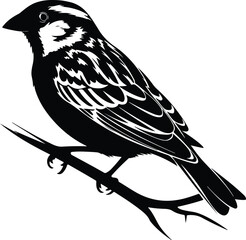 Flying Sparrow Vector | Bird Outline and Wildlife Design Sparrow Silhouette Set | Small Bird and Nature Vector