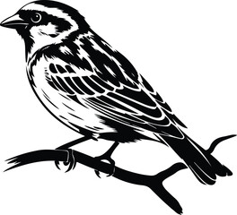 Flying Sparrow Vector | Bird Outline and Wildlife Design Sparrow Silhouette Set | Small Bird and Nature Vector