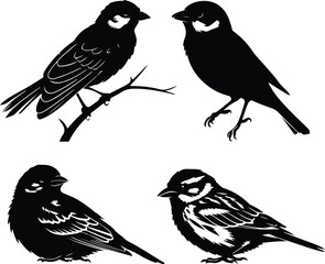 Flying Sparrow Vector | Bird Outline and Wildlife Design Sparrow Silhouette Set | Small Bird and Nature Vector