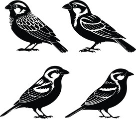Flying Sparrow Vector | Bird Outline and Wildlife Design Sparrow Silhouette Set | Small Bird and Nature Vector