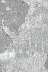 Pattern of dried light grey bark wood. Old pelling wood texture, big tree surface.Template for design. Abstract nature background. Beautiful pattern.Space for work.Banner.Wallpaper. Vertical.