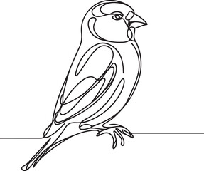 Beautiful Goldfinch Line Drawing in Vector Art