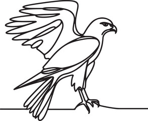 Harrier Bird in Line Drawing Style