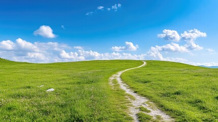 Fototapeta premium Country Path Winding Hillside Lush Green Fields Vibrant Sunny Landscape Wide Panoramic View Journey Ahead Serene Blue Sky Ideal for Travel Brochures