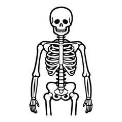 Explore the Human Body: A Deep Dive into Anatomy & Body Parts for Learners and Experts