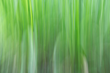 Green nature vertical streaky abstract background
