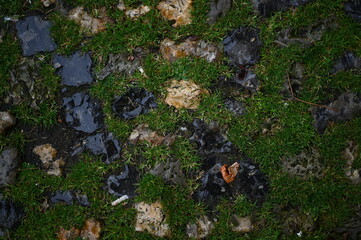 Natural stone and grass pattern after rain. Close-up of wet textured stones with green moss and grass, symbolizing balance between architecture and nature. Perfect for landscape design, eco-brand mark