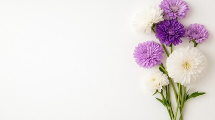 Obraz premium A bouquet of white and purple aster flowers arranged on a clean white background with copy space on the left side.