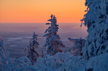 Lapland in winter with large amount of snow during colourful sunset