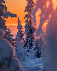 Lapland in winter with large amount of snow during colourful sunset