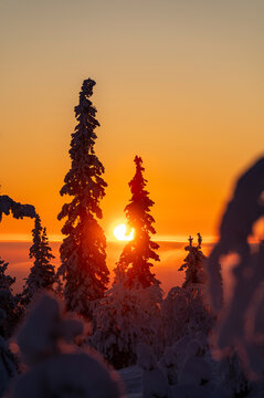 Lapland in winter with large amount of snow during colourful sunset
