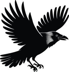 Flying Crow Vector | Dark Bird Outline and Wildlife Design