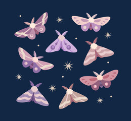 A set of cute fairy butterflies on a dark background with stars. Night moths in purple colors. Suitable for stickers, patches, pins, greeting cards, illustration