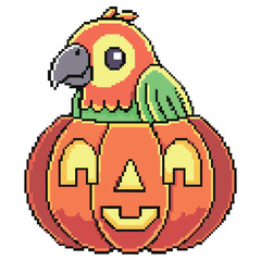 Pixelated Parrot Inside Halloween Pumpkin with Transparent Background