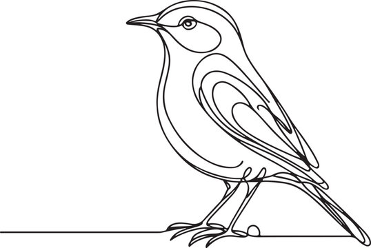 Minimalist Nightingale Line Art in Vector