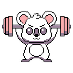 Pixelated White Koala Lifting Barbell with Determination on Transparent Background