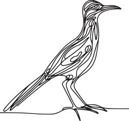 Roadrunner Vector Art Illustration – Line Drawing
