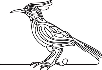 Roadrunner Vector Art Illustration – Line Drawing