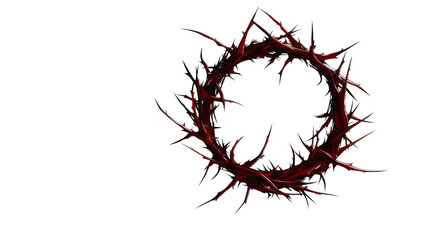 crown of thorns on white background