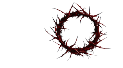 crown of thorns on white background