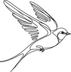 Swallow Bird Vector Art - Hand-Drawn Line Art