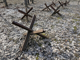 Czech hedgehogs deployed at forest © Vlad Ivantcov