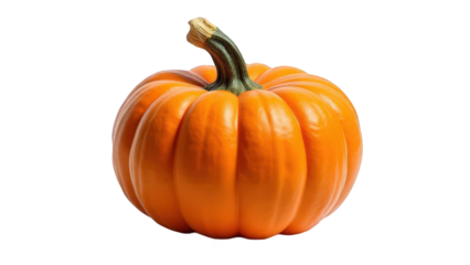A single orange pumpkin with a green stem isolated against a black background in a studio shot