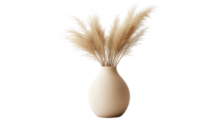 Minimalist ceramic vase with dried pampas grass, boho interior style, isolated PNG