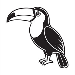 toucan bird vector illustration