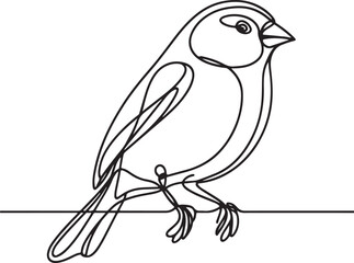 Finch Vector Art for Your Digital Needs