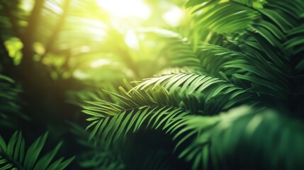 Lush fresh green Spring leaf