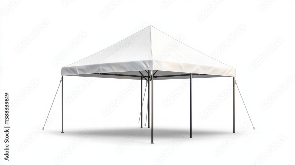 Poster canopy in perspective: an eye-level view of a modern canopy isolated on a pristine expanse, evoking 