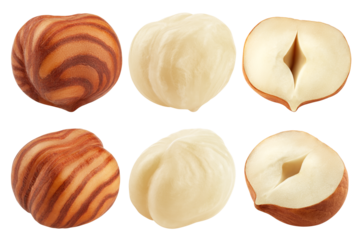 Hazelnut peeled, isolated on white background, full depth of field