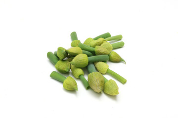 白バックのネギ坊主