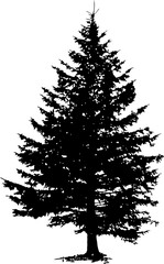 Black silhouette of a detailed pine tree with dense foliage on a transparent background. Represents nature, forestry, and environmental themes