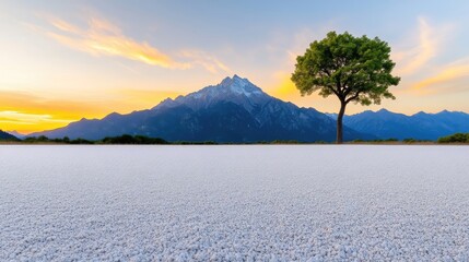 A lone tree stands on a vast, white gravel plain. Mountains rise in the background, bathed in the soft light of a sunset. The image is high-resolution, with clear detail and warm lighting. Its a se