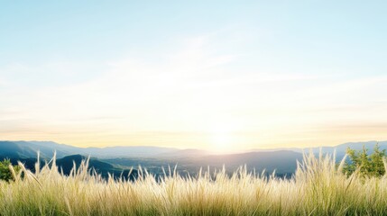 Obraz premium Panoramic view of a mountain range at sunrise, with tall grass in the foreground. Soft light bathes the scene, creating a tranquil and serene atmosphere
