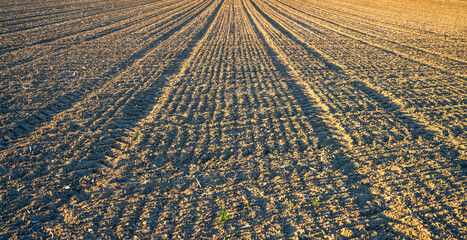 Fototapeta premium Tractor wheel marks on a freshly plowed field