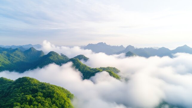 Lush green mountains rise above a sea of fluffy white clouds. The composition features a high-angle aerial view, creating a serene atmosphere. The image displays sharp detail and soft lighting, exhib