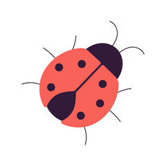 A red ladybug with black spots