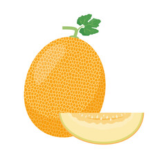 Fresh Melon fruit and piece. Organic melon for juice, smoothie or vitamin healthy food. Vector icon illustration isolated on white background.