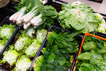 View of showcase with fresh green chard leaves, spinach and crisp lettuce in greengrocery