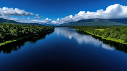 Obraz premium Serene River Winding Through Lush Forest