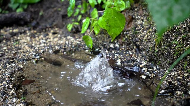 Small natural water source on the ground in slow motion