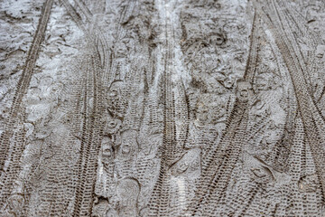 Muddy trail, full of bicycle tracks