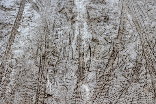 Muddy trail, full of bicycle tracks