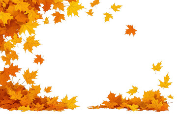 An Autumn leaves in vibrant shades of yellow and orange create beautiful border on transparency background, evoking sense of seasonal change and natural beauty